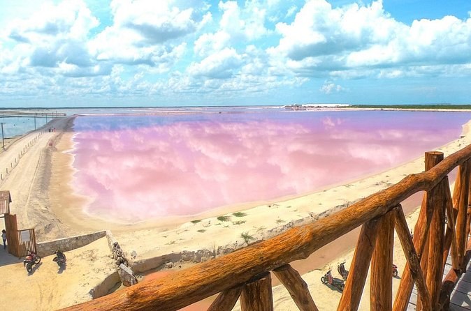 A timber boardwalk running along the edge of the pink salt flats at Las Coloradas