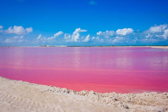 Pink water meeting a white sand bank at Las Coloradas under a blue sky