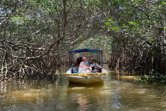 A small covered boat coming down a narrow channel walled by mangroves at Celestún